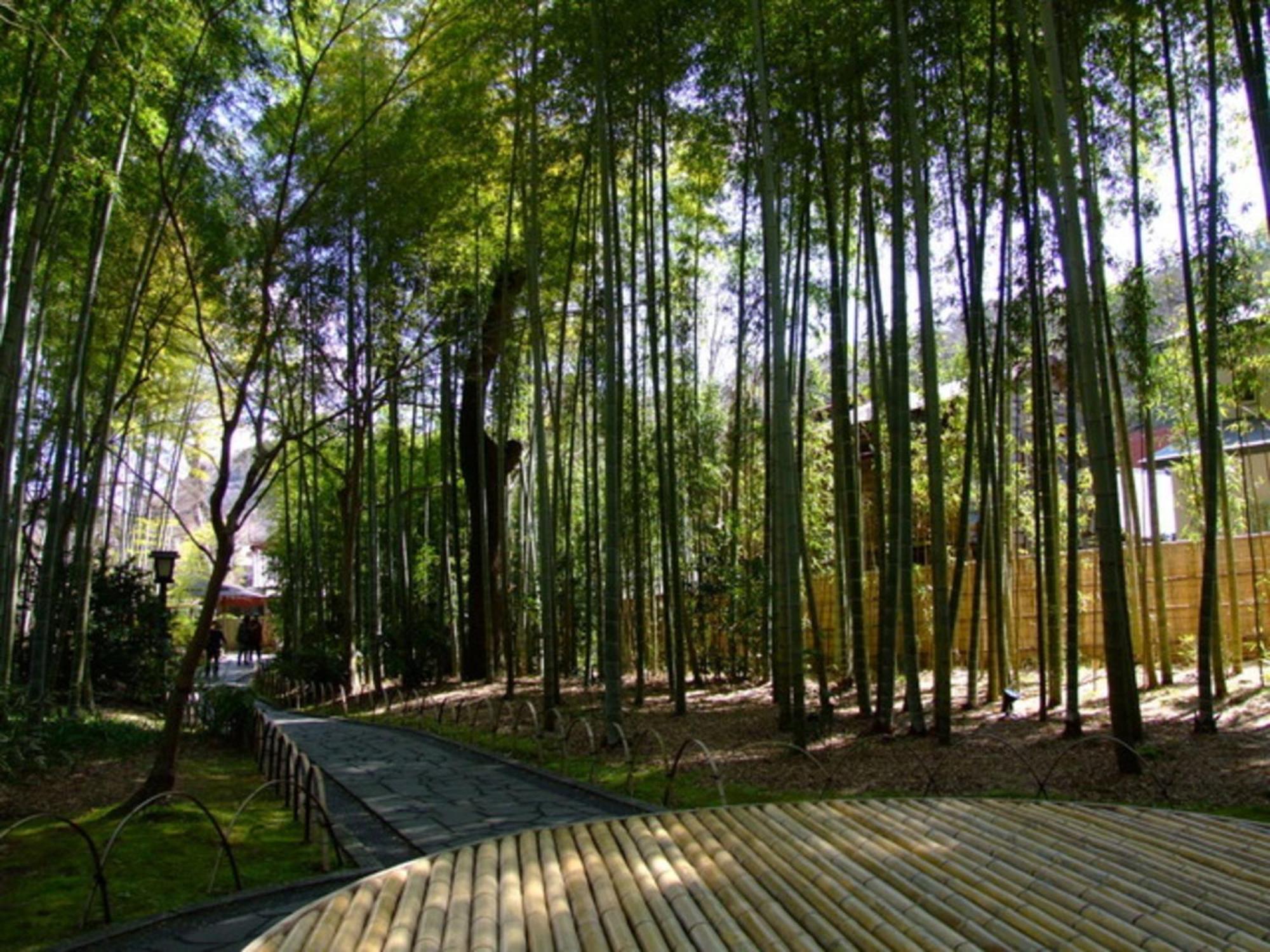 Breezbay Shuzenji Hotel Izu  Exterior foto